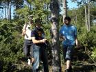 PA060275_800x600