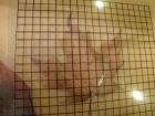 PA070304_800x600